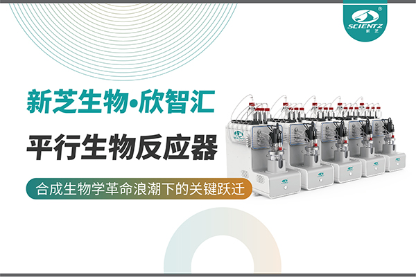培養菌株和評估工藝參數影響太難太慢？平行生物反應器提供關鍵解決方案！