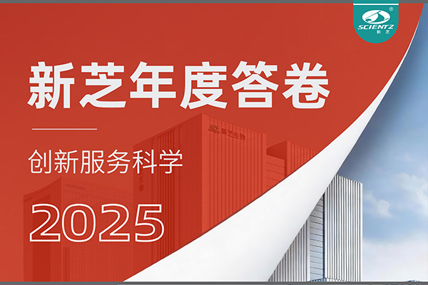 「新芝2025年度答卷」以深耕赴山海，以創新啟新程！