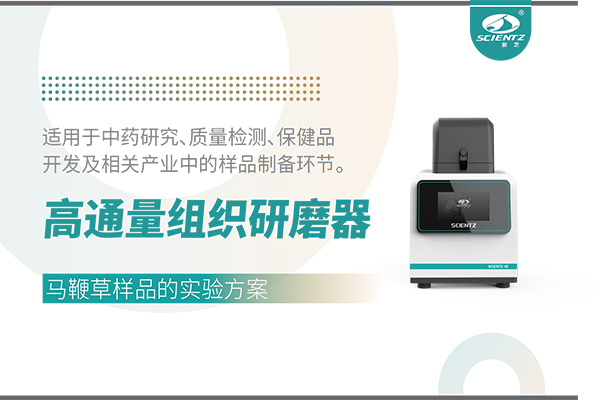 高通量組織研磨器處理馬鞭草樣品的實驗方案