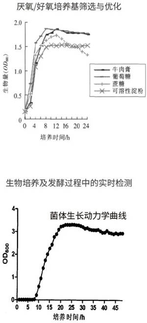 過程安全，結果精準